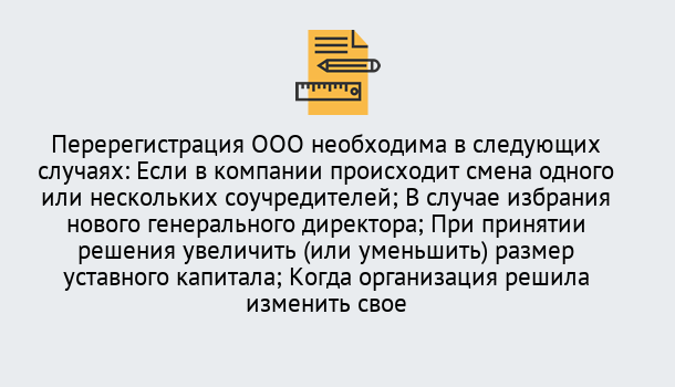 Почему нужно обратиться к нам? Сосновый Бор Перерегистрация ООО: особенности, документы, сроки...  в Сосновый Бор