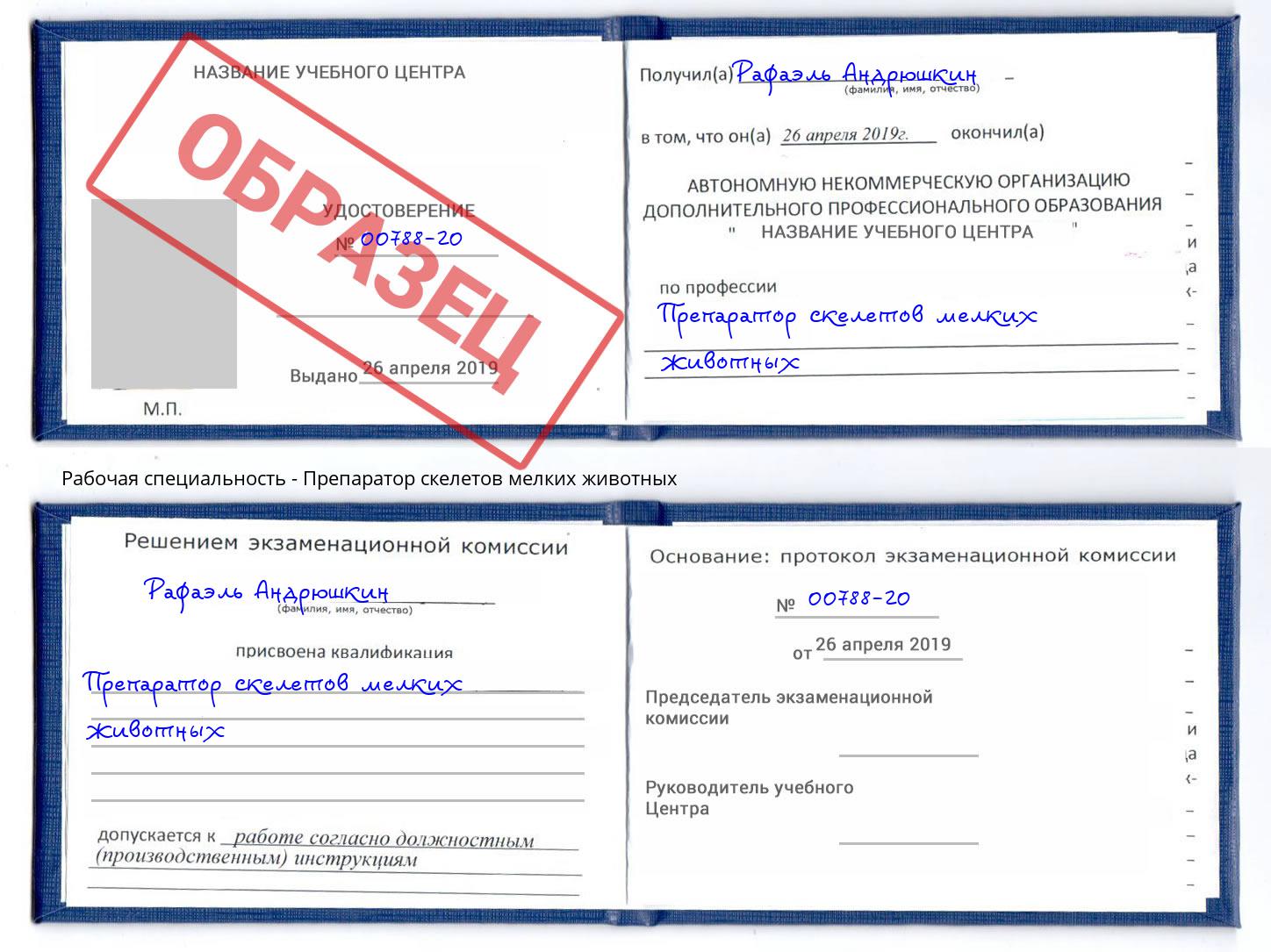 Препаратор скелетов мелких животных Сосновый Бор