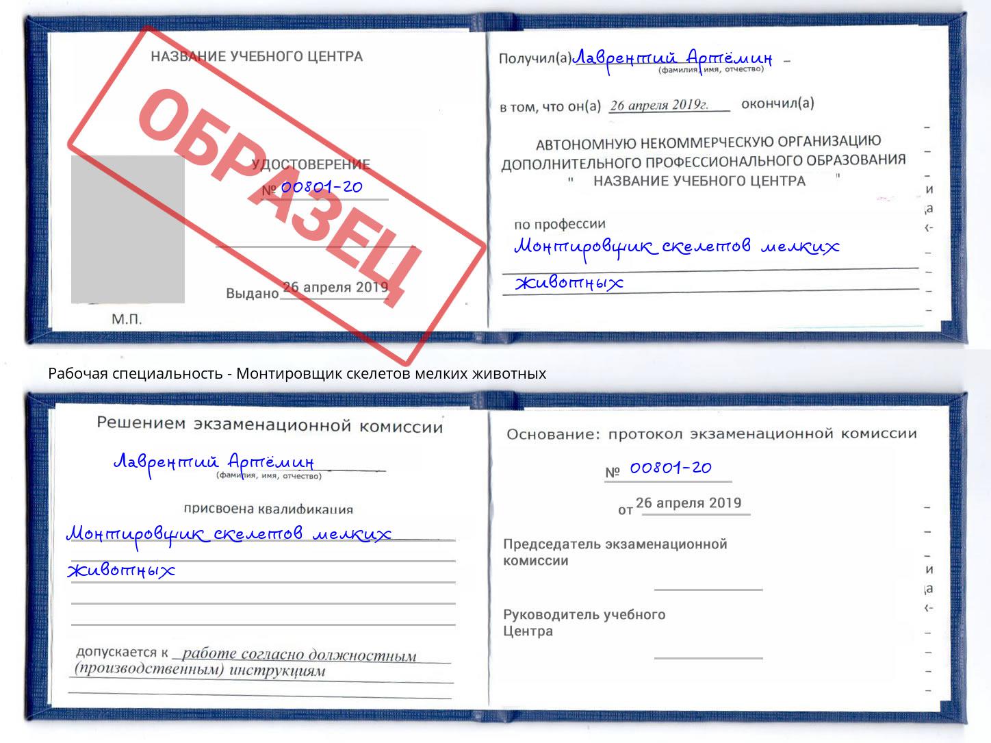 Монтировщик скелетов мелких животных Сосновый Бор