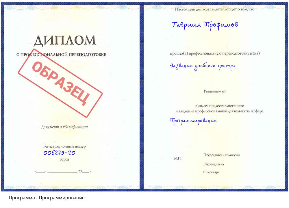 Программирование Сосновый Бор