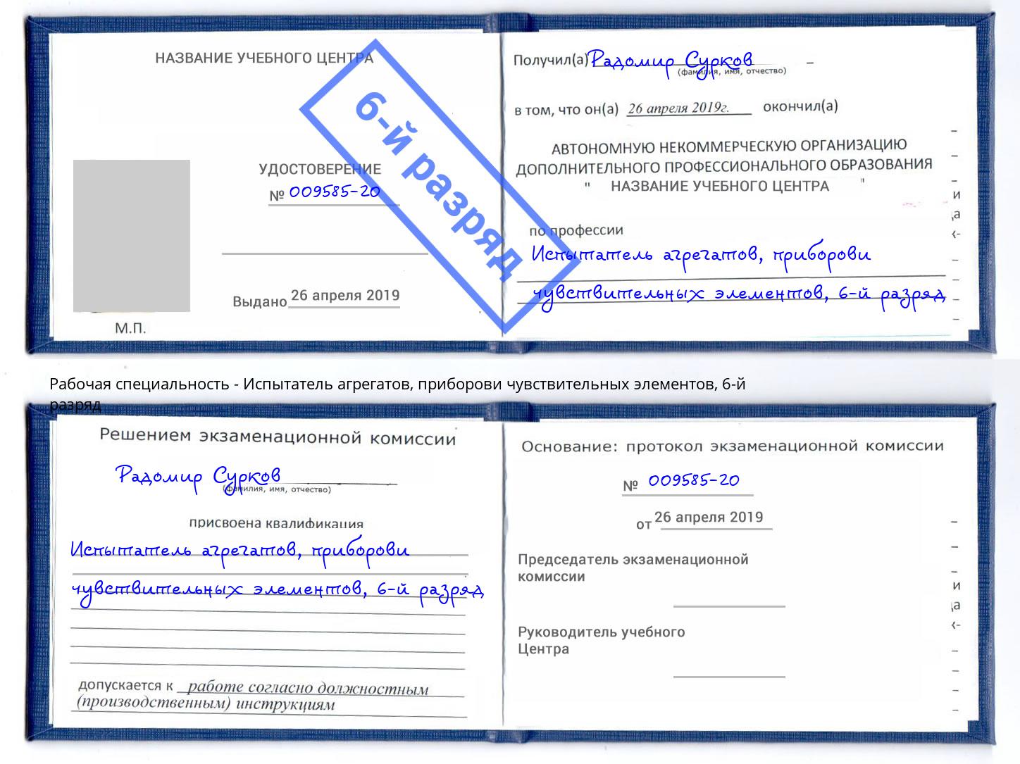 корочка 6-й разряд Испытатель агрегатов, приборови чувствительных элементов Сосновый Бор