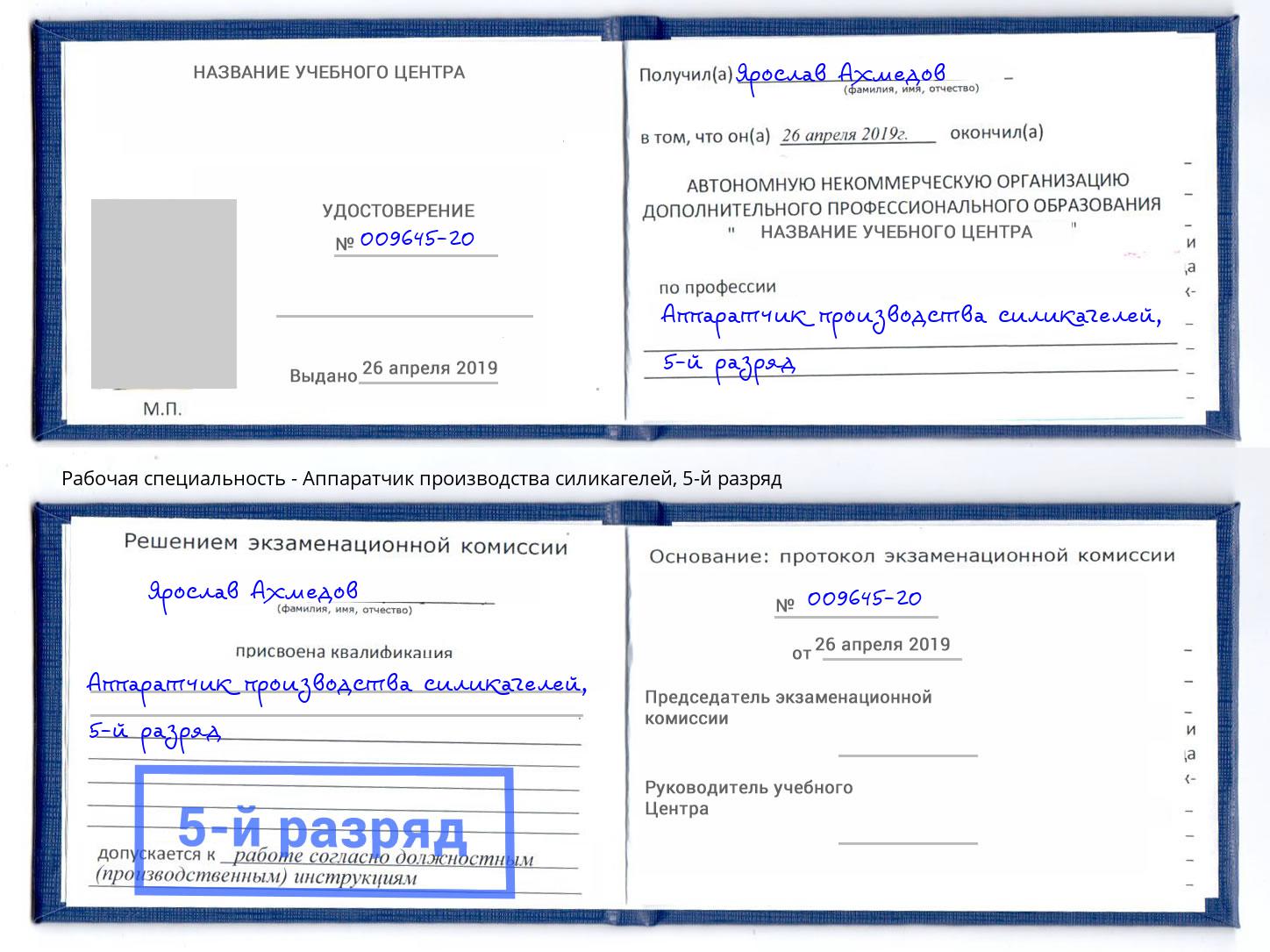 корочка 5-й разряд Аппаратчик производства силикагелей Сосновый Бор
