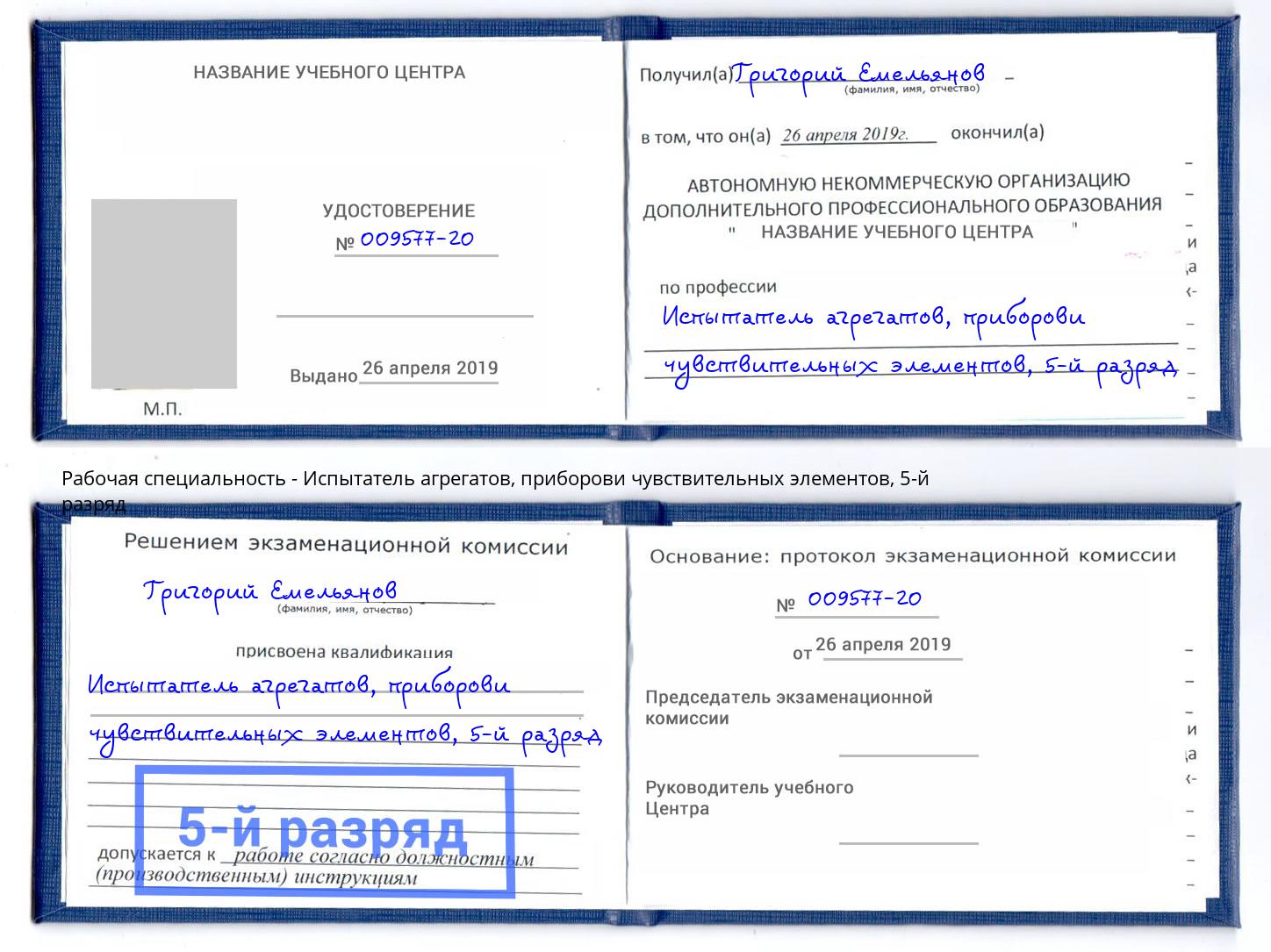 корочка 5-й разряд Испытатель агрегатов, приборови чувствительных элементов Сосновый Бор
