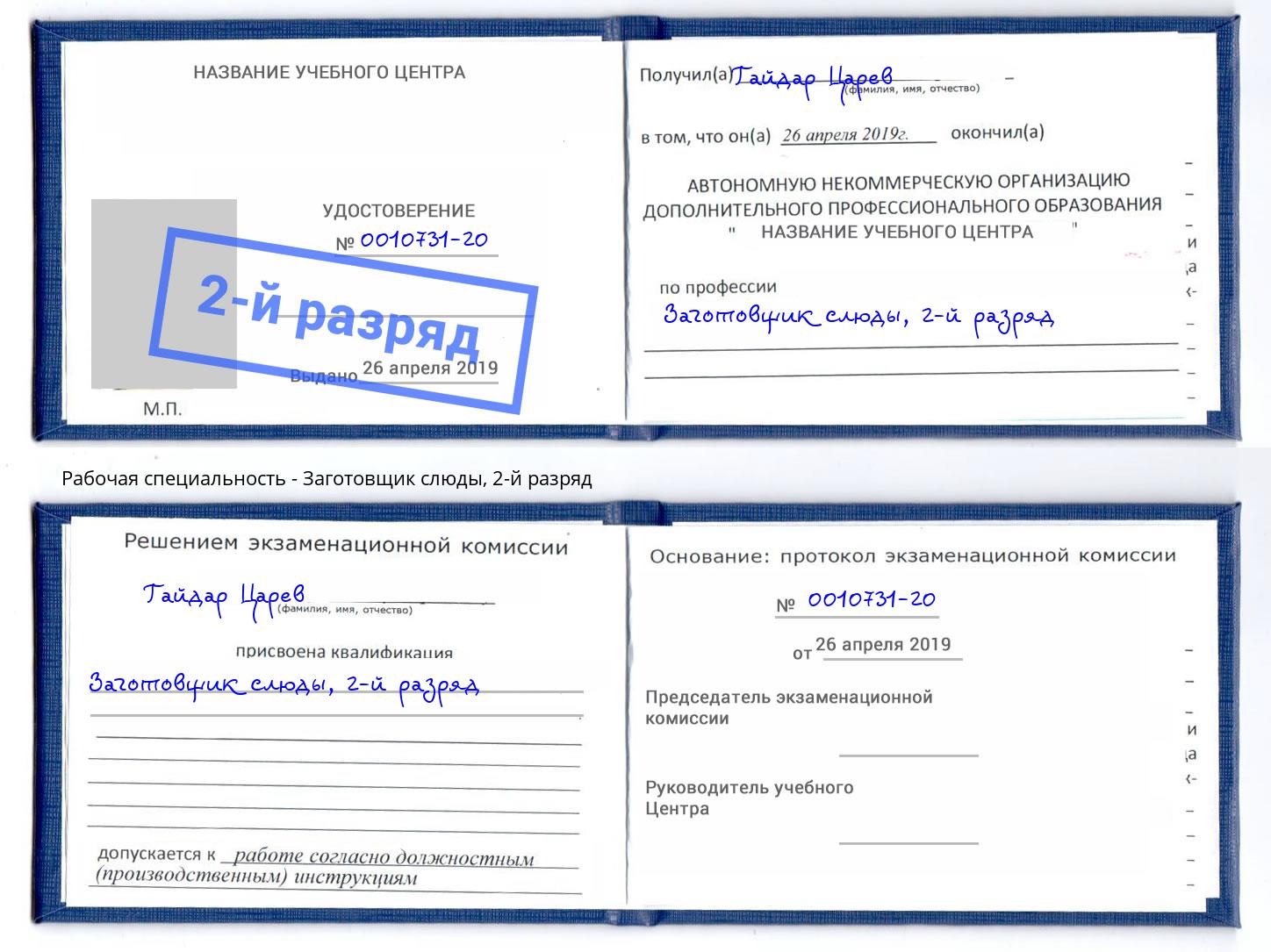 корочка 2-й разряд Заготовщик слюды Сосновый Бор