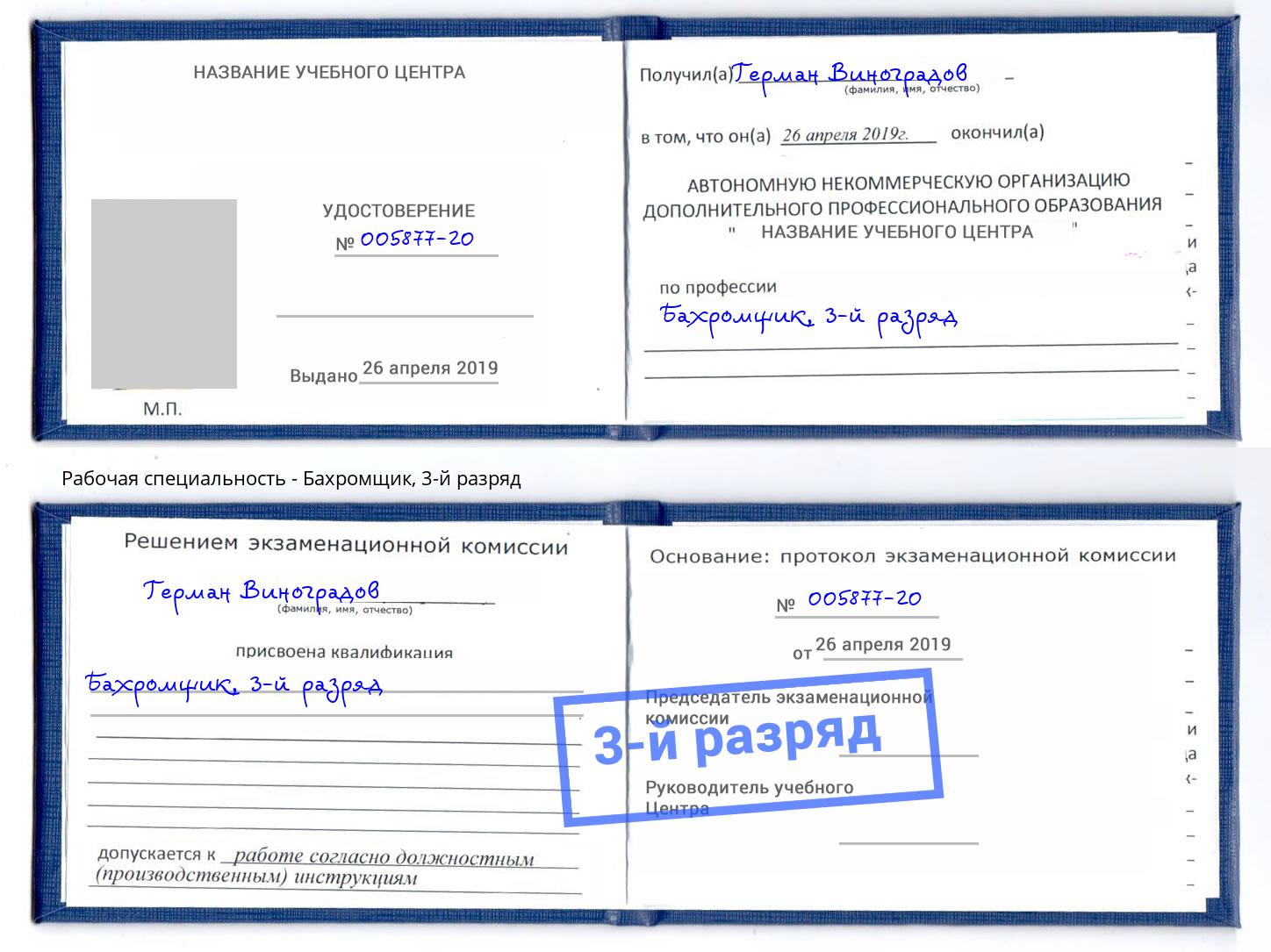 корочка 3-й разряд Бахромщик Сосновый Бор