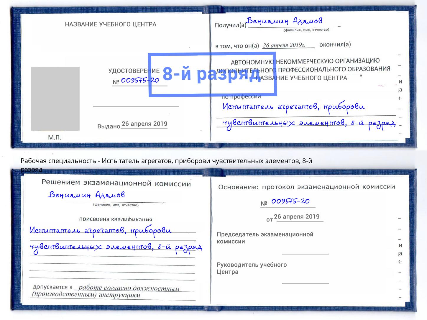 корочка 8-й разряд Испытатель агрегатов, приборови чувствительных элементов Сосновый Бор